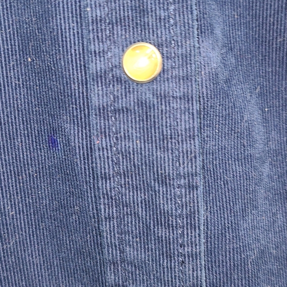 Ivy Jane Blue Western Courderoy Large - Picture 7 of 8